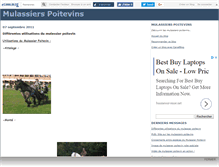 Tablet Screenshot of mulassierspoitev.canalblog.com