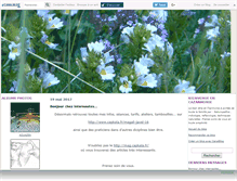 Tablet Screenshot of ligamae.canalblog.com