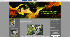 Desktop Screenshot of coquillettebijou.canalblog.com