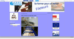 Desktop Screenshot of filetagesefc.canalblog.com