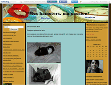 Tablet Screenshot of hamlisou.canalblog.com