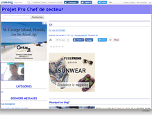Tablet Screenshot of chefsecteur.canalblog.com