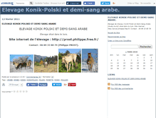 Tablet Screenshot of konikpolski.canalblog.com