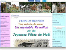 Tablet Screenshot of bouquinghen.canalblog.com