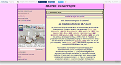 Desktop Screenshot of masterdidafle.canalblog.com