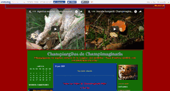 Desktop Screenshot of champiargilus.canalblog.com