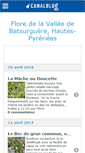 Mobile Screenshot of florebatsurguere.canalblog.com