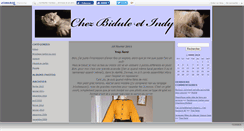 Desktop Screenshot of chezbiduleetindy.canalblog.com