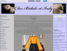 Tablet Screenshot of chezbiduleetindy.canalblog.com