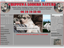Tablet Screenshot of chippewa.canalblog.com