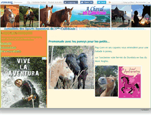 Tablet Screenshot of chevalcaledonie.canalblog.com