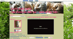 Desktop Screenshot of catsandcats.canalblog.com