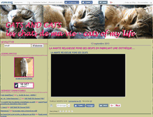 Tablet Screenshot of catsandcats.canalblog.com