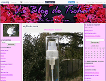 Tablet Screenshot of leblogdetichat.canalblog.com
