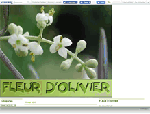 Tablet Screenshot of fleurdolivier.canalblog.com
