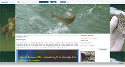 Desktop Screenshot of moucheurdu70.canalblog.com