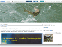 Tablet Screenshot of moucheurdu70.canalblog.com