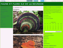 Tablet Screenshot of ilereunionflore.canalblog.com