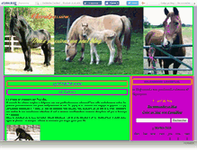 Tablet Screenshot of chevalpassion.canalblog.com