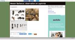 Desktop Screenshot of fano07.canalblog.com