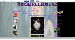 Desktop Screenshot of brouillamini.canalblog.com