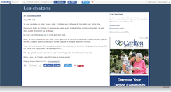 Desktop Screenshot of chatonsinfos.canalblog.com