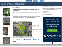 Tablet Screenshot of caudex.canalblog.com