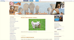 Desktop Screenshot of camilleadesmots.canalblog.com