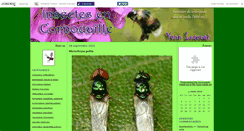 Desktop Screenshot of loscoat.canalblog.com