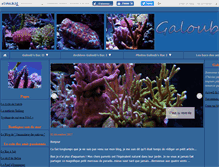 Tablet Screenshot of galoubsbac.canalblog.com