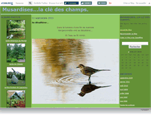 Tablet Screenshot of musarder.canalblog.com