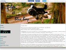 Tablet Screenshot of bebopetblueboy.canalblog.com