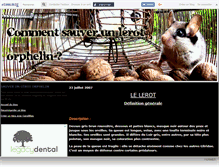 Tablet Screenshot of lerotsauvetage.canalblog.com
