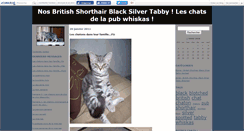 Desktop Screenshot of chatonsbritish.canalblog.com