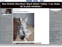 Tablet Screenshot of chatonsbritish.canalblog.com