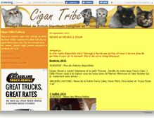 Tablet Screenshot of cigantribecats.canalblog.com