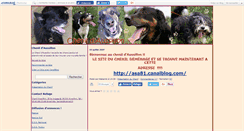 Desktop Screenshot of chenil81.canalblog.com