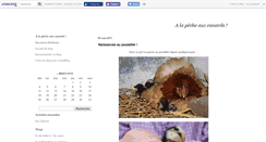 Desktop Screenshot of pecheauxcanards.canalblog.com