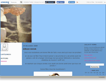 Tablet Screenshot of lallaetasma.canalblog.com