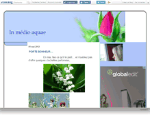 Tablet Screenshot of inmedioaquae.canalblog.com