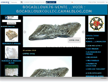 Tablet Screenshot of bocaillouxvente.canalblog.com