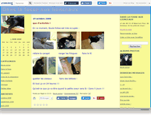 Tablet Screenshot of lionceaux.canalblog.com