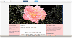 Desktop Screenshot of marsupilami5.canalblog.com