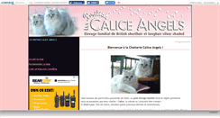 Desktop Screenshot of britcaliceangels.canalblog.com