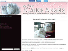 Tablet Screenshot of britcaliceangels.canalblog.com