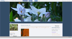 Desktop Screenshot of emotionsplanete.canalblog.com