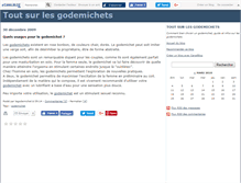 Tablet Screenshot of legodemichet.canalblog.com