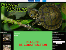 Tablet Screenshot of kinosternum.canalblog.com