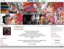 Tablet Screenshot of grossinnet.canalblog.com