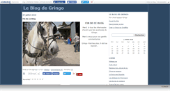 Desktop Screenshot of chevalgringo.canalblog.com